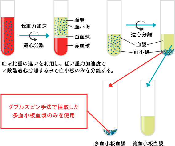 ダブルスピン手法