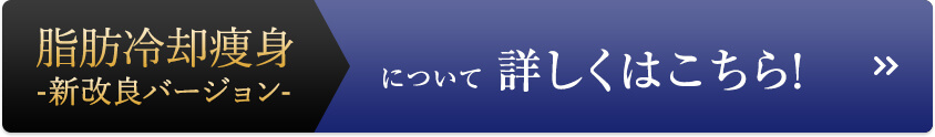 脂肪冷却痩身改良バージョン