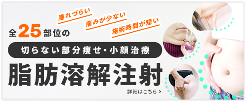 全25部位の切らない部分痩せ・小顔治療　脂肪溶解注射