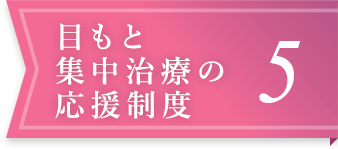 目もと集中治療の応援制度5