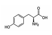 チロシン (アミノ酸)