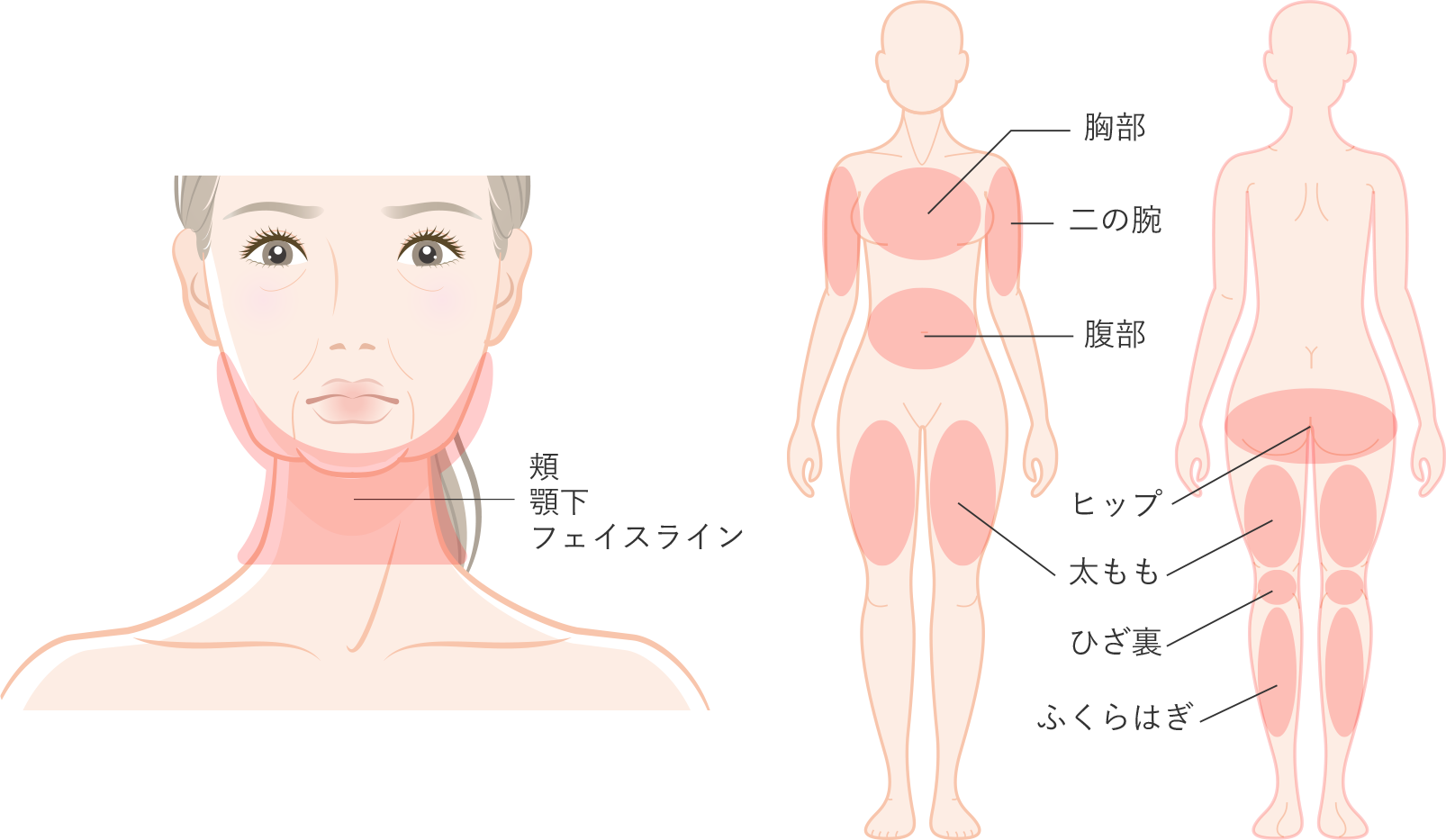 プライムXの治療部位
