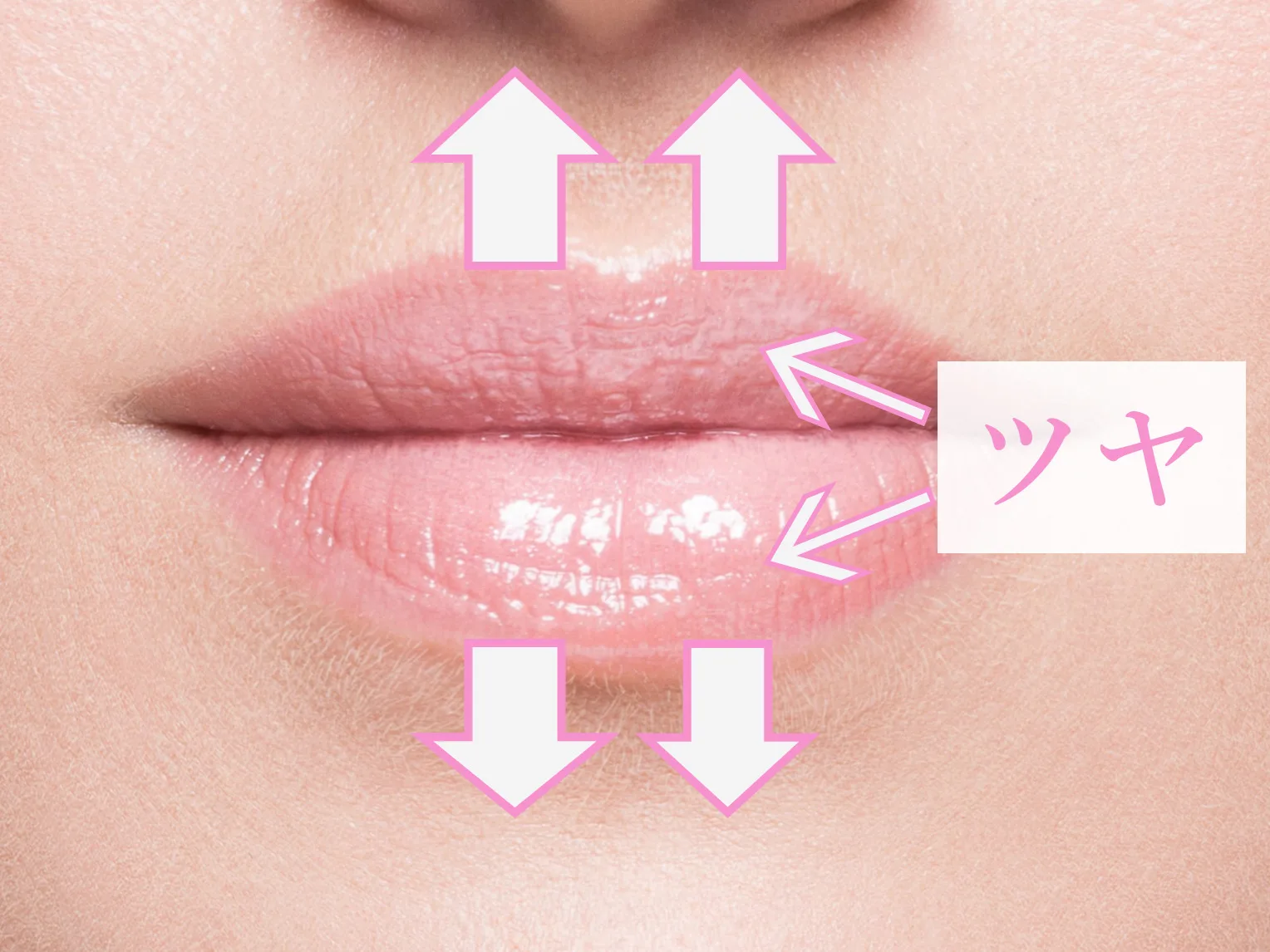 切らない唇 形成 ふっくらさせる 色を変える アヒル口にする 美容皮膚科 銀座よしえクリニック 公式 東京 切らない唇 形成 ふっくらさせる 色を変える アヒル口にする 美容皮膚科 銀座よしえクリニック 公式 東京