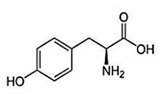 チロシン (アミノ酸)
