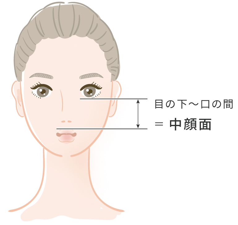 中顔面の説明図