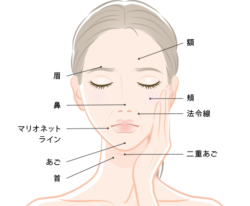 テスリフトソフトの適応部位